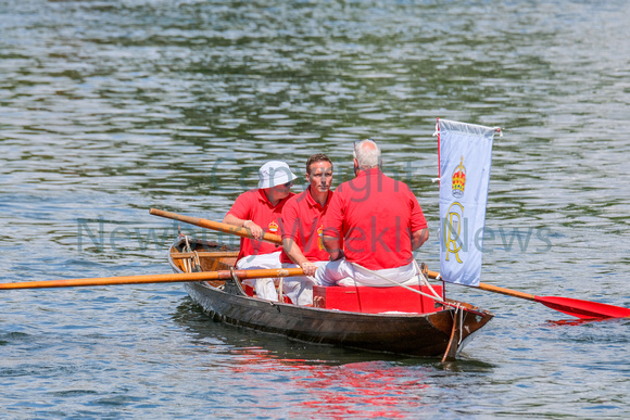 NWN 29-0123AD Swan Upping