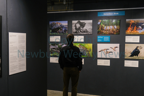NWN 09-0124 G The Base  WIldlife Photographer of the year