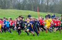 NWN 11-0324 C Schools cross country boys 3 and 4