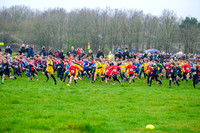 NWN 11-0324 A Schools cross country boys 3 and 4