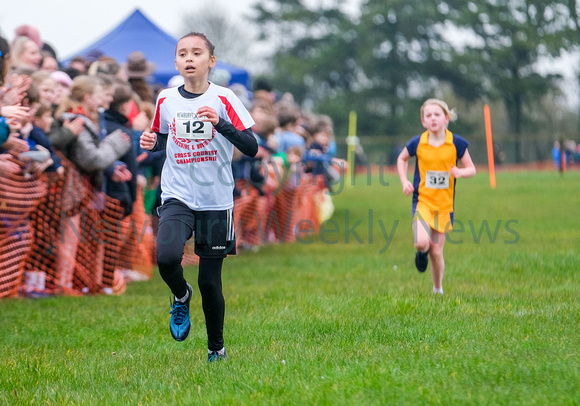 NWN 11-0224 C Schools cross country Girls 3 and 4