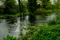 NWN 15-0124 C River Kennet