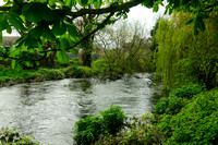 NWN 15-0124 F River Kennet