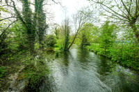 NWN 15-0124 A River Kennet