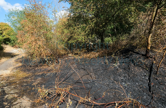 31-1522H Fire in woodlands Thatcham