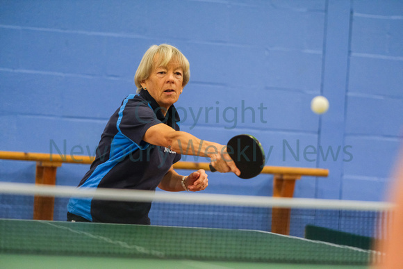 07-1423N Newbury Table Tennis