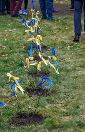 08-0123AB Shaw House Tree Planting - Ukraine
