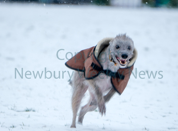 09-1223P Snow in Newbury