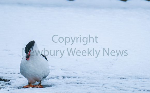 09-1223E Snow in Newbury