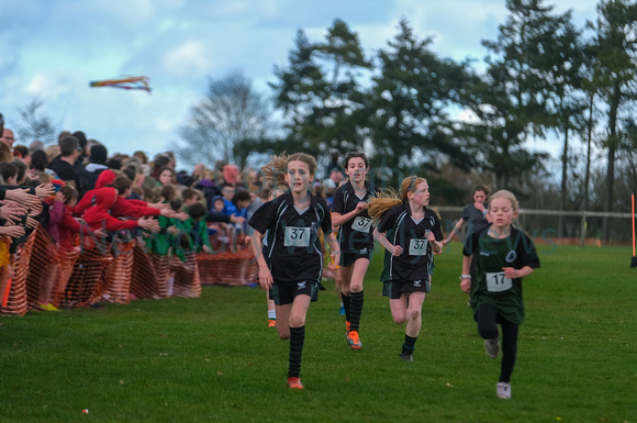 11-2723H School Cross Country Year 5 and 6 Girls