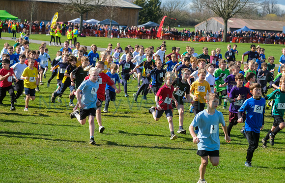 11-2623Q School Cross Country Year 3 and 4 boys