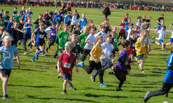 11-2623P School Cross Country Year 3 and 4 boys