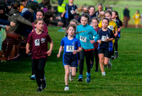 11-2423DSchool Cross Country Year 3 and 4 Girls