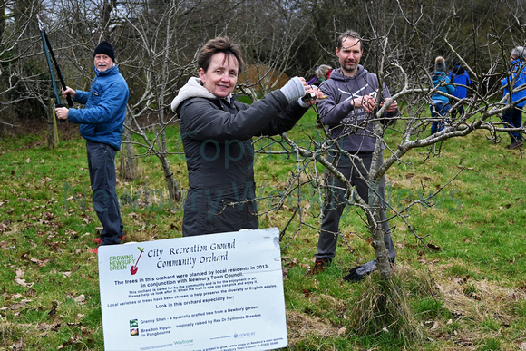 04-1222A Community Orchard