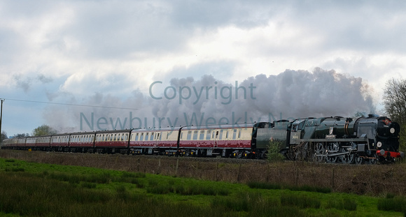 NWN 15-1323F Steam Trains
