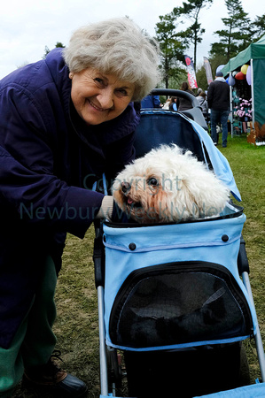 NWN 15-1123OAll about dog show