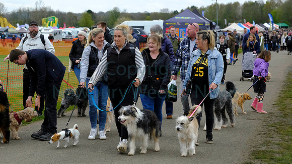 NWN 15-1123IAll about dog show