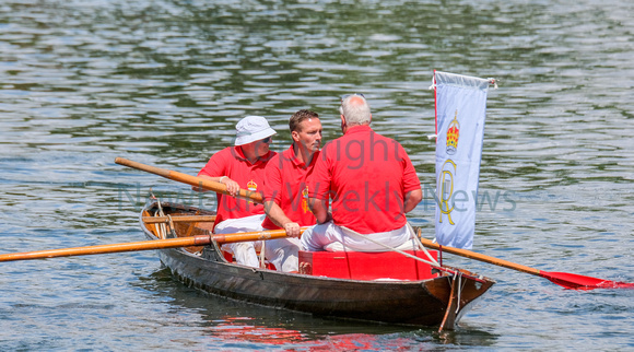 NWN 29-0123AE Swan Upping