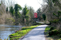 11-0121H Canal - Tree down in path