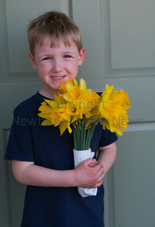 13-1521A Henry and the daffodils