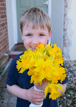 13-1521L Henry and the daffodils