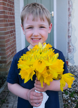 13-1521M Henry and the daffodils