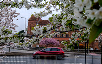 18-0321D Blossom in Newbury