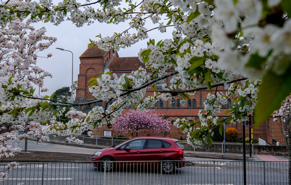 18-0321D Blossom in Newbury