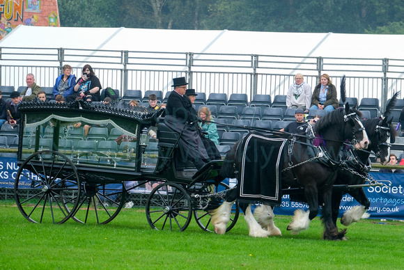 NWN 37-0124M Newbury Show