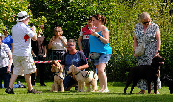 NWN 35-0223 D Aldermaston and Wasing Show