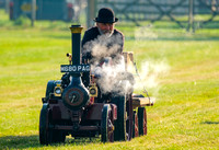NWN 37-0223 I Newbury Show - Parade of steam engines