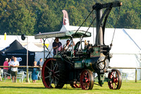 NWN 37-0223 E Newbury Show - Parade of steam engines