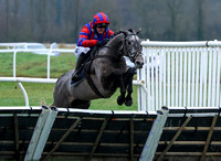 NWN 52-0324F Newbury Racecourse - Challow Hurdle Day