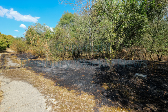 31-1522C Fire in woodlands Thatcham