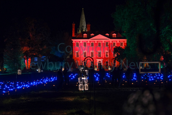 NWN 42-0523 T Welford Park Spectacle of Light