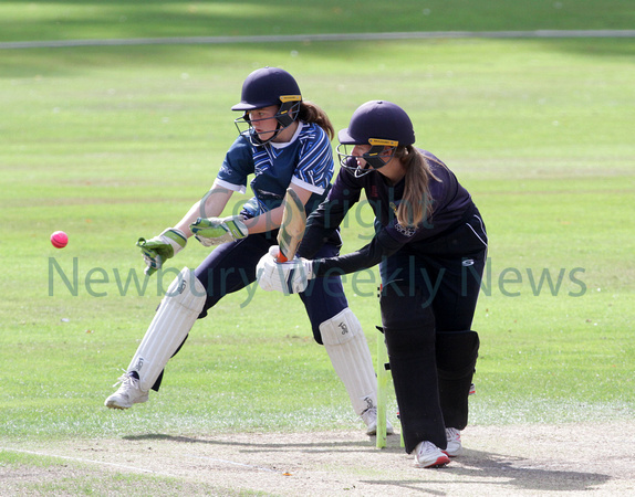 38-1421N Falkland Ladies Cricket