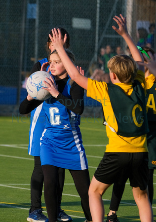 NWN 46-0123D Thorngrove Netball