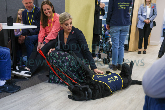 NWN 43-0124H Guide Dogs - Royal visit