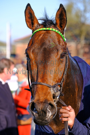 46-0119AF Newbury Races