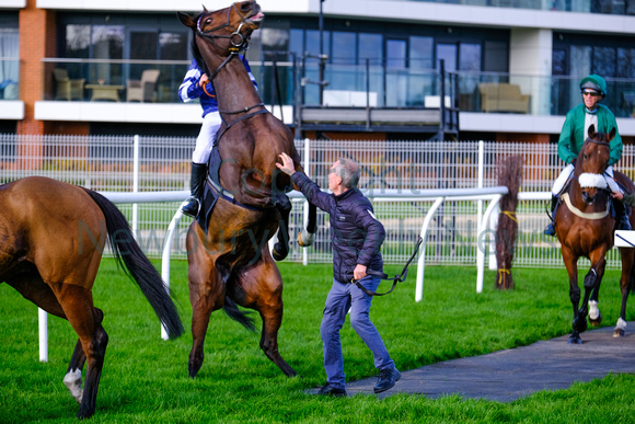 46-0119B Newbury Races