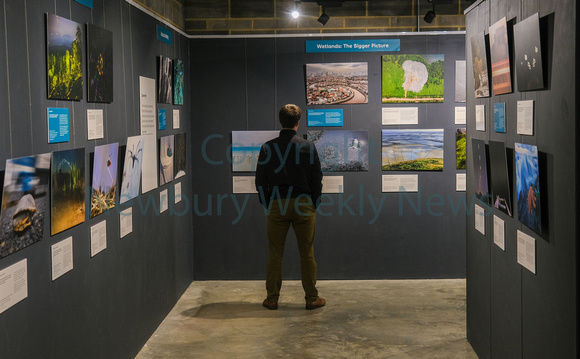 NWN 09-0124 L The Base  WIldlife Photographer of the year