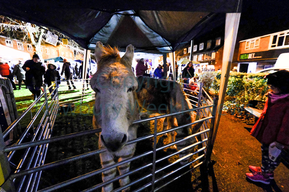 50-0119AB Thatcham Christmas lights