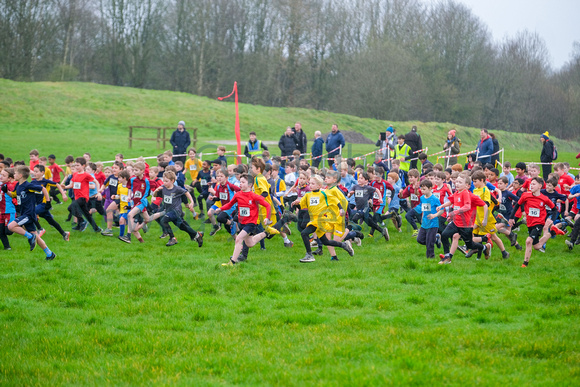 NWN 11-0324 B Schools cross country boys 3 and 4