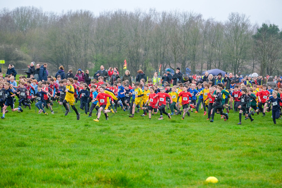 NWN 11-0324 A Schools cross country boys 3 and 4