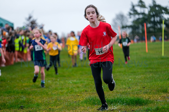 NWN 11-0224 N Schools cross country Girls 3 and 4