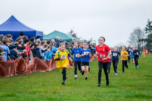 NWN 11-0224 E Schools cross country Girls 3 and 4