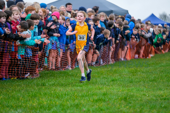 NWN 11-0224 D Schools cross country Girls 3 and 4