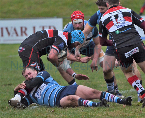 50-1121D Rugby- Newbury Blues v Frome