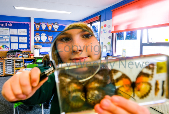NWN 12-0124 I Curridge PS - Science week