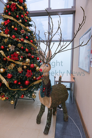 51-0521G West Berkshire Hospital - Reindeer